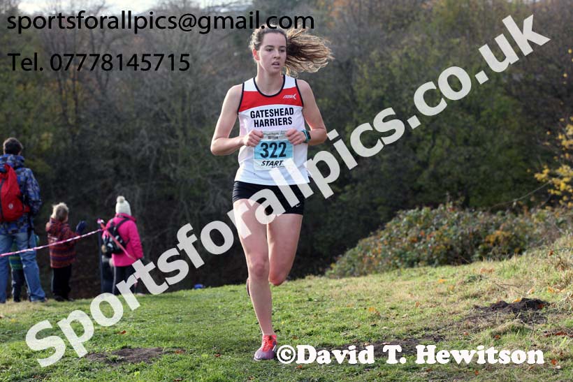 Womens under-17s and under-20s 2017 Start Fitness North Eastern Harrier League, Aykley Heads, Durham. Photo:  David T. Hewitson/Sports for All Pics